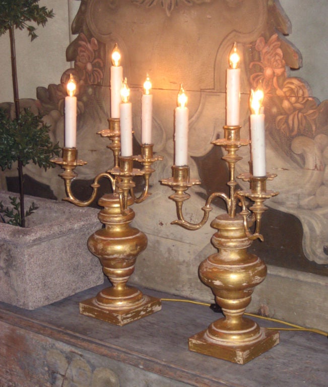 19th Century Elements Pair Giltwood Pricket Candleabra Lamps