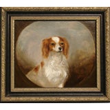 Portrait of a King Charles spaniel