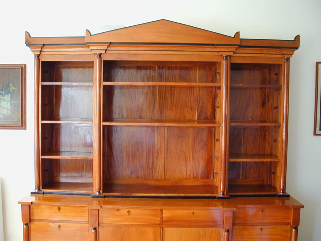 German 19th Century Biedermeier Ebonized Birch Breakfront Bookcase