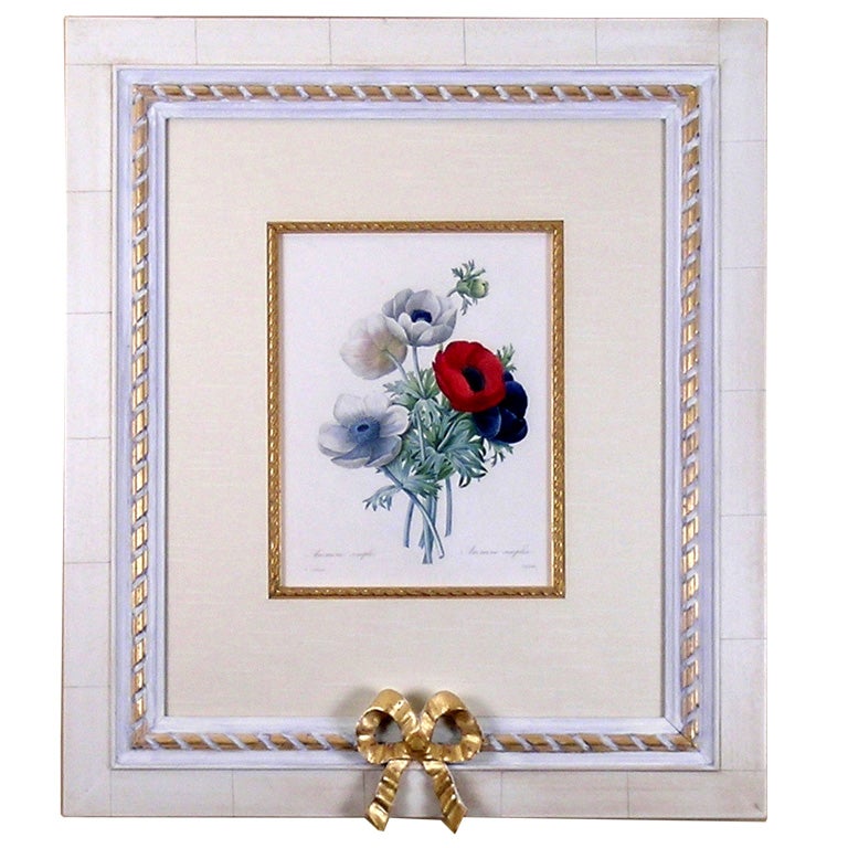 Anemone Simple, Anemone Simplex