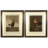 Pair of English hand colored  prints