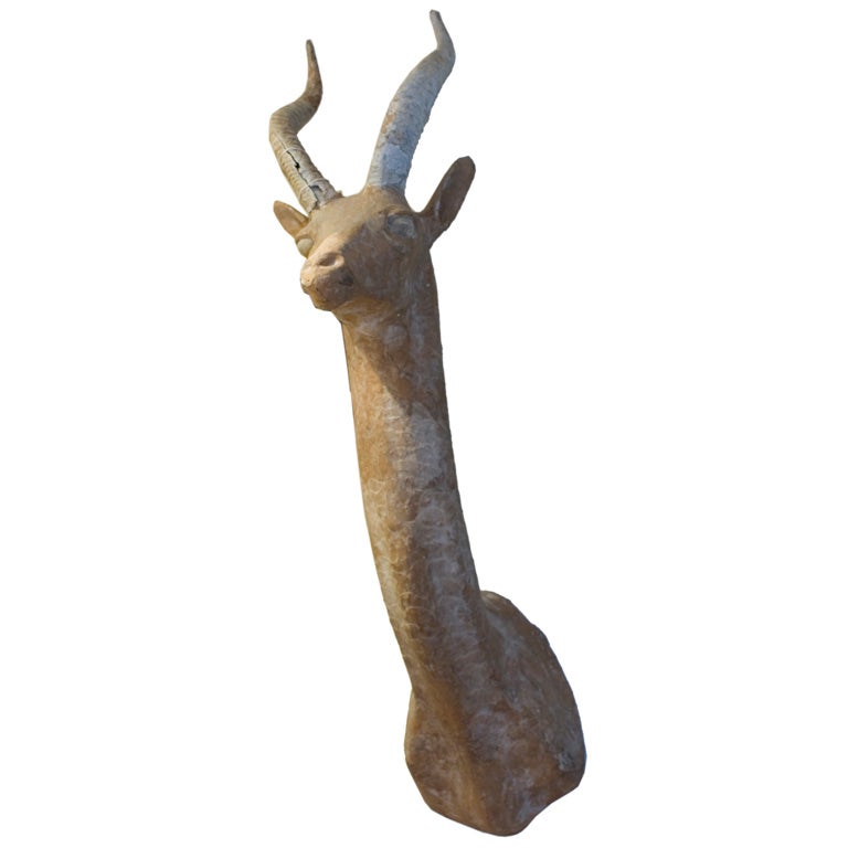 Gazelle Head For Sale