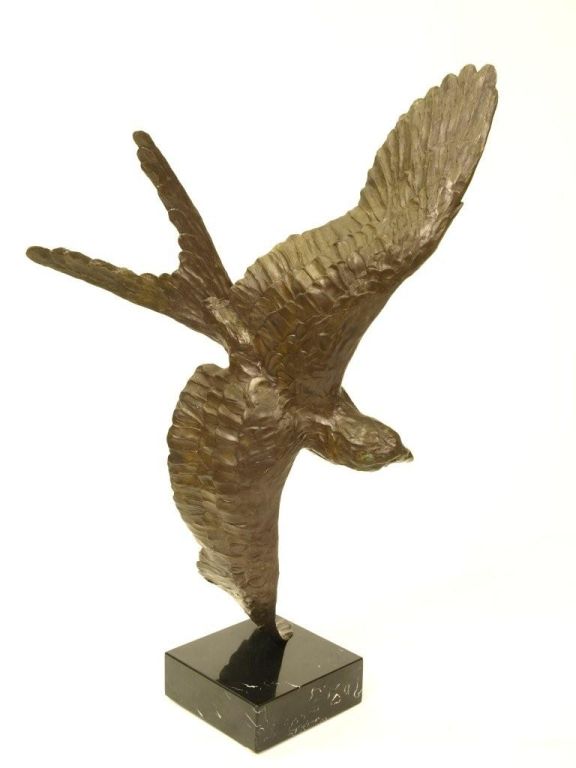 Bronze Hawk by Thomas Dickson