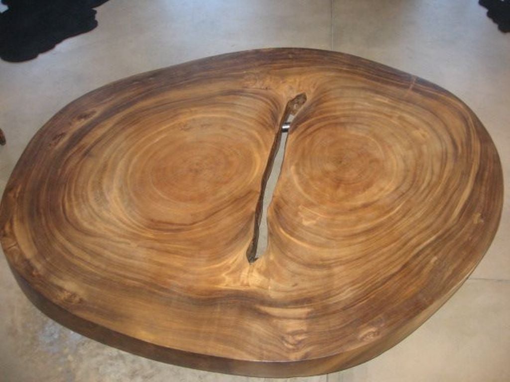 Large, organic shaped coffee table.  Made from exotic Suar (Tiger Wood) with tubular steel legs. Initials on the side of table read: J A S