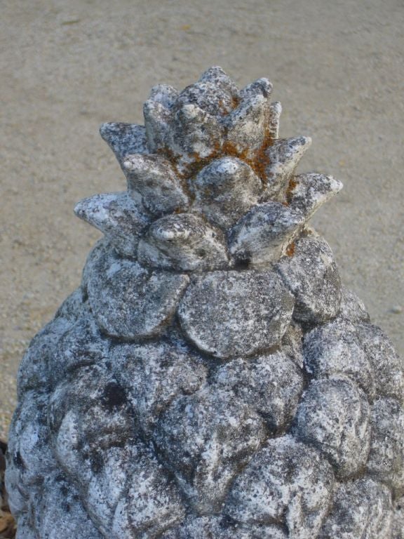 concrete pineapples for sale