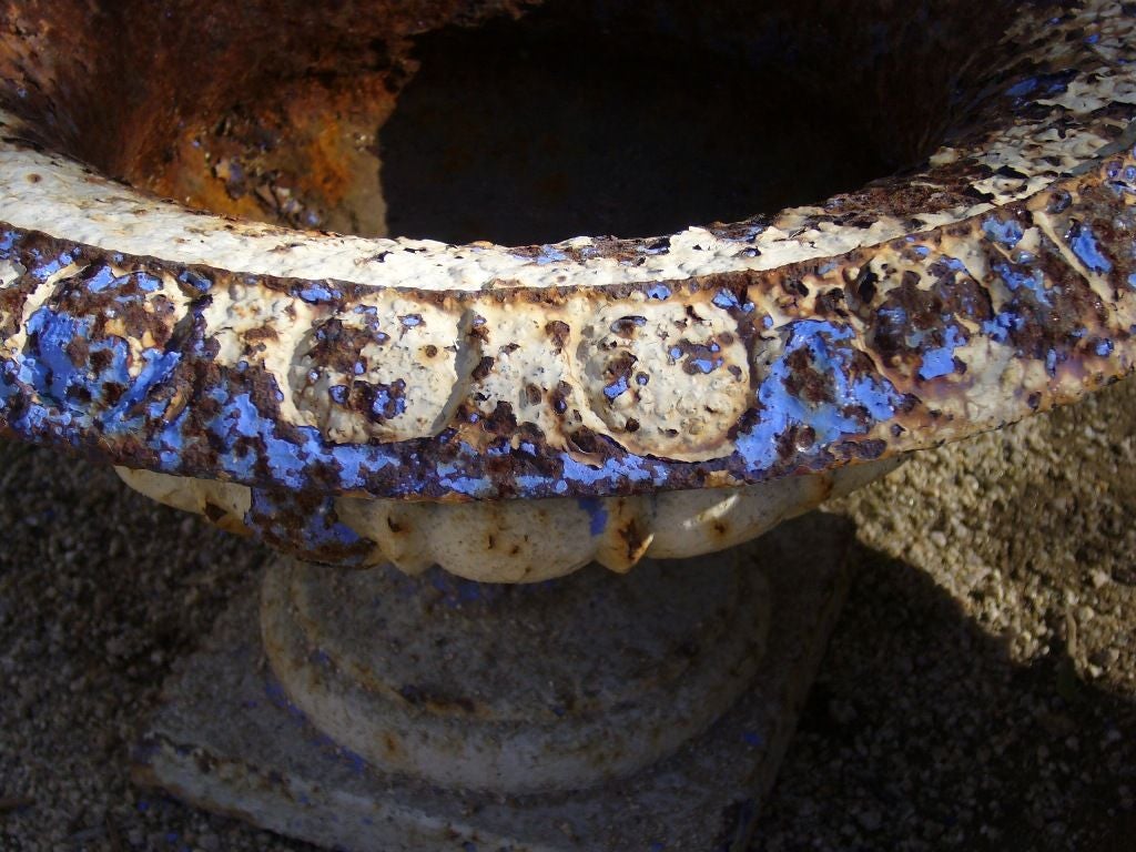 Pair of Cast Iron Indigo Urns, c. 19th Century 3