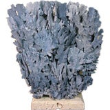 Large Natural Blue Coral Centerpiece