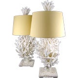 Pair of Real and Natural White Staghorn Coral Lamps