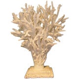 Real and Natural White Branch Coral Centerpiece