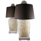 A Pair of Real Lace Coral Lamps