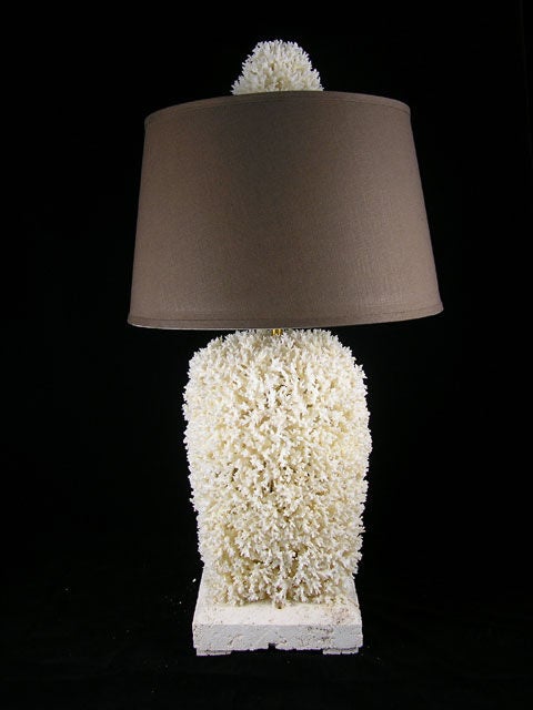 A Pair of Real Lace Coral Lamps