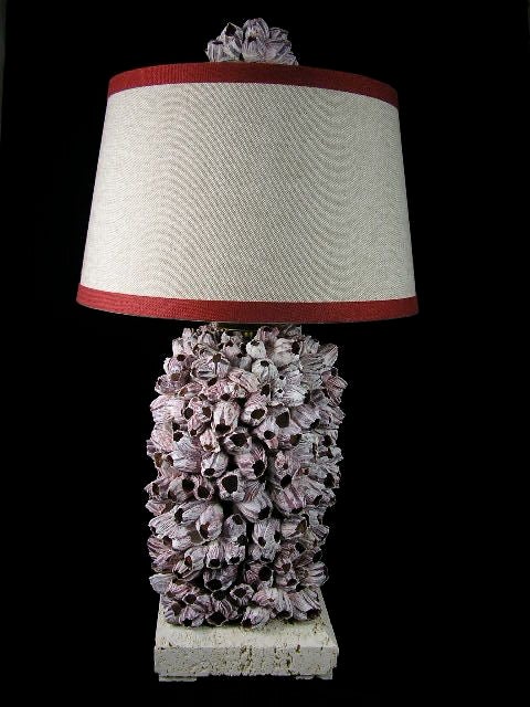 A Pair of Natural Barnacle Lamps