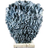 Impressive All Natural Blue Coral Centerpiece