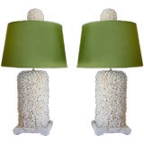 A Pair of Real and Natural Lace Coral Lamps