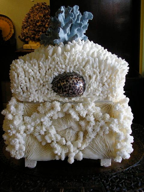 Real Coral Box with a Blue Coral Finial