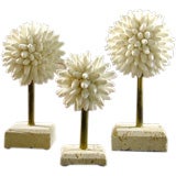 Finger Coral Topiary On Brass Rods Mounted on Coquina Stone