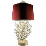 Striking and Dramatic All Natural Branch Coral Lamp
