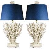 A Pair of Natural Octopus Coral Lamps