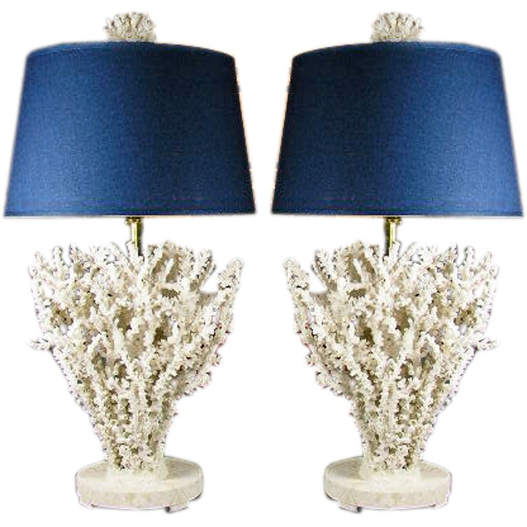 A Pair of Natural Octopus Coral Lamps