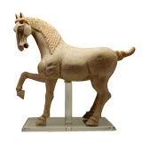 T'ang Dynasty Horse