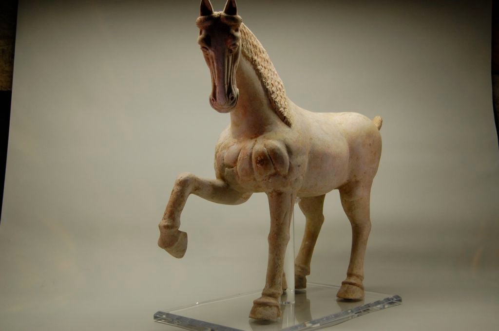 T'ang Dynasty Horse