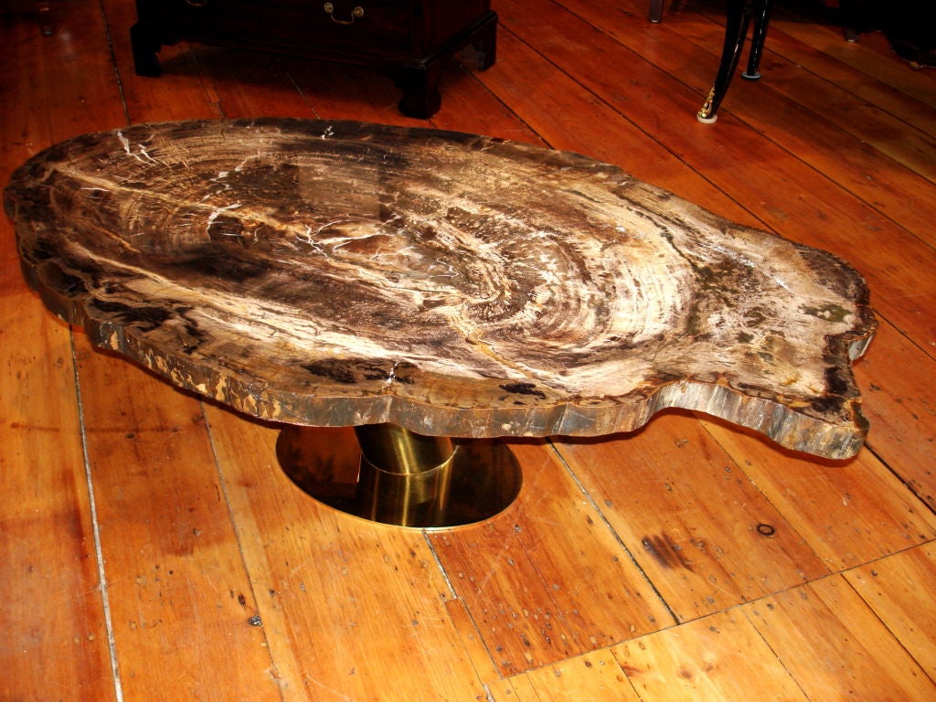 Wonderful Karl Springer Petrified Wood Cocktail Table in shades of brown, cola and amber.  Base is original angled lacquered brass and tubular.  Coffee Table
