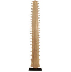Large Sawfish Snout mounted on metal stand