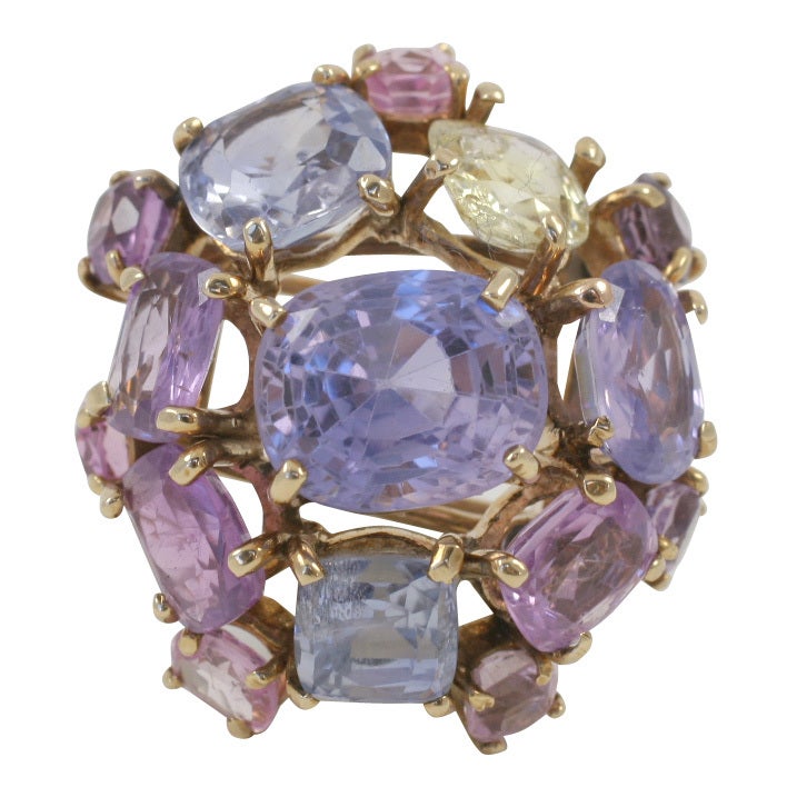 Multi Color Sapphire Brooch by  Nadja Buckley