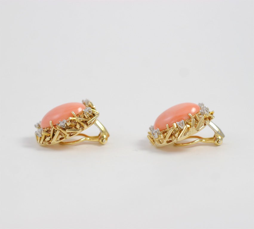 Women's Beautiful and Delicate Coral 