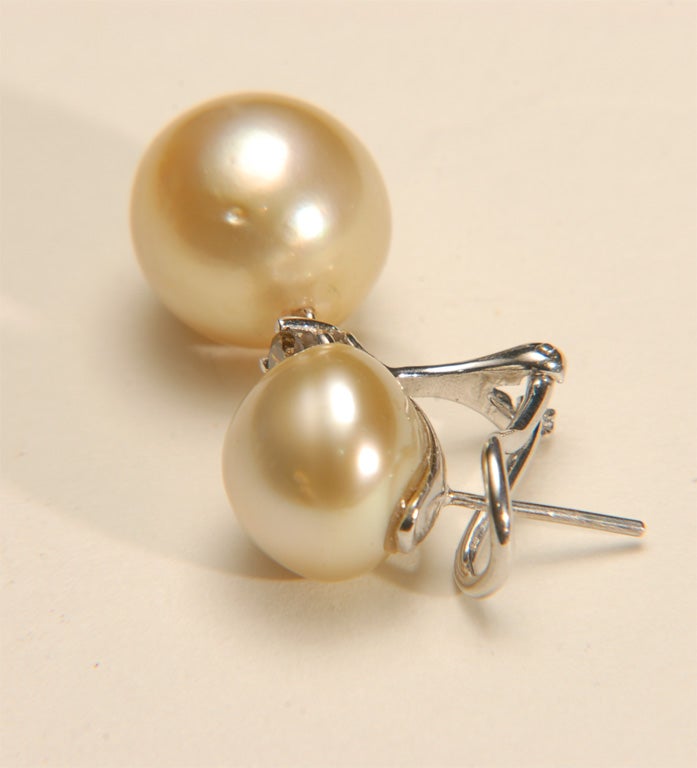 18k WG Golden South Sea Pearl and Fancy Brown Diamond Earrings 1