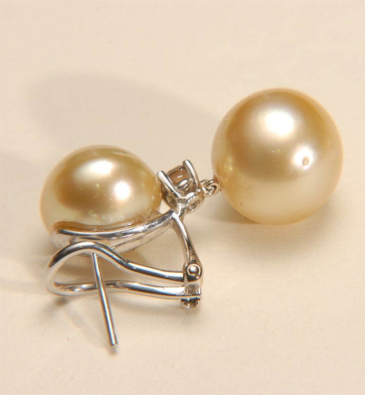 18k WG Golden South Sea Pearl and Fancy Brown Diamond Earrings 2