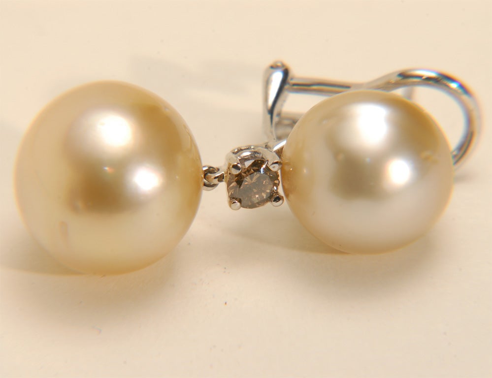 18k WG Golden South Sea Pearl and Fancy Brown Diamond Earrings 3