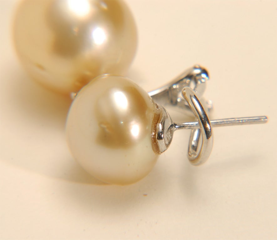 18k WG Golden South Sea Pearl and Fancy Brown Diamond Earrings 4