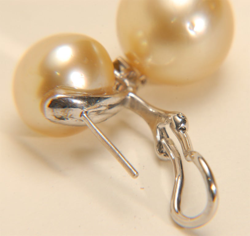 18k WG Golden South Sea Pearl and Fancy Brown Diamond Earrings 5