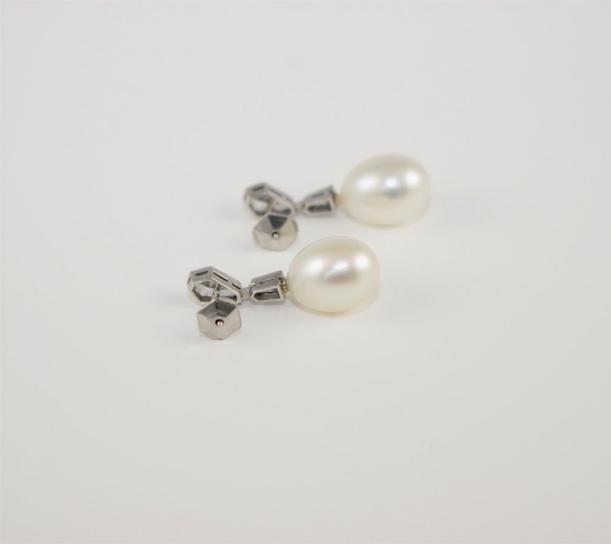 south sea cultured pearl earrings
