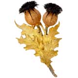 Thistle Brooch by Buccelati