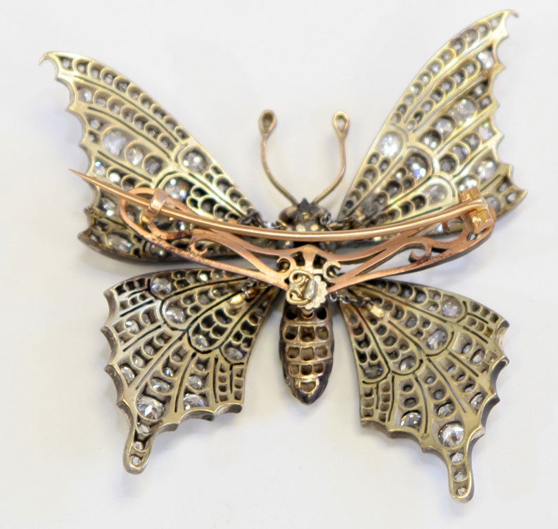 Antique Butterfly Brooch 1