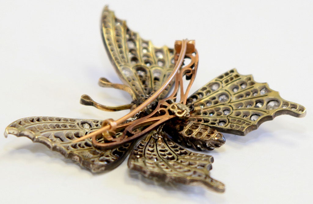 Antique Butterfly Brooch 2