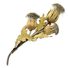 Buccellati Thistle Brooch