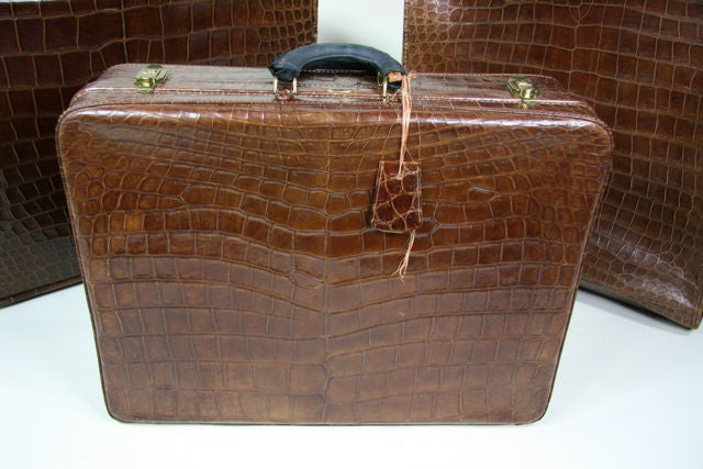 alligator luggage set