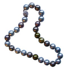 Natural 16mm Shell Faux Tahitian Pearl Choker