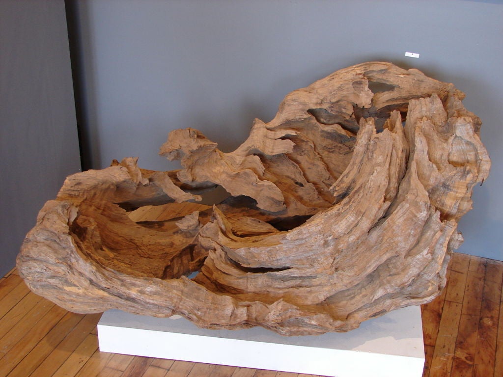 phenomenal natural teak wood form In Excellent Condition For Sale In Brooklyn, NY