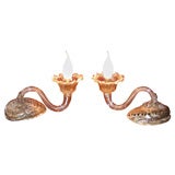Two Sconces in Murano Glass