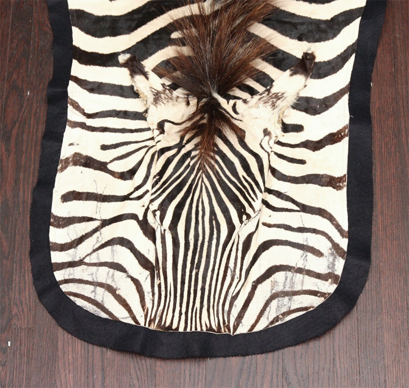 Custom Trophy Grade Zebra Skin Carpet For Sale at 1stdibs