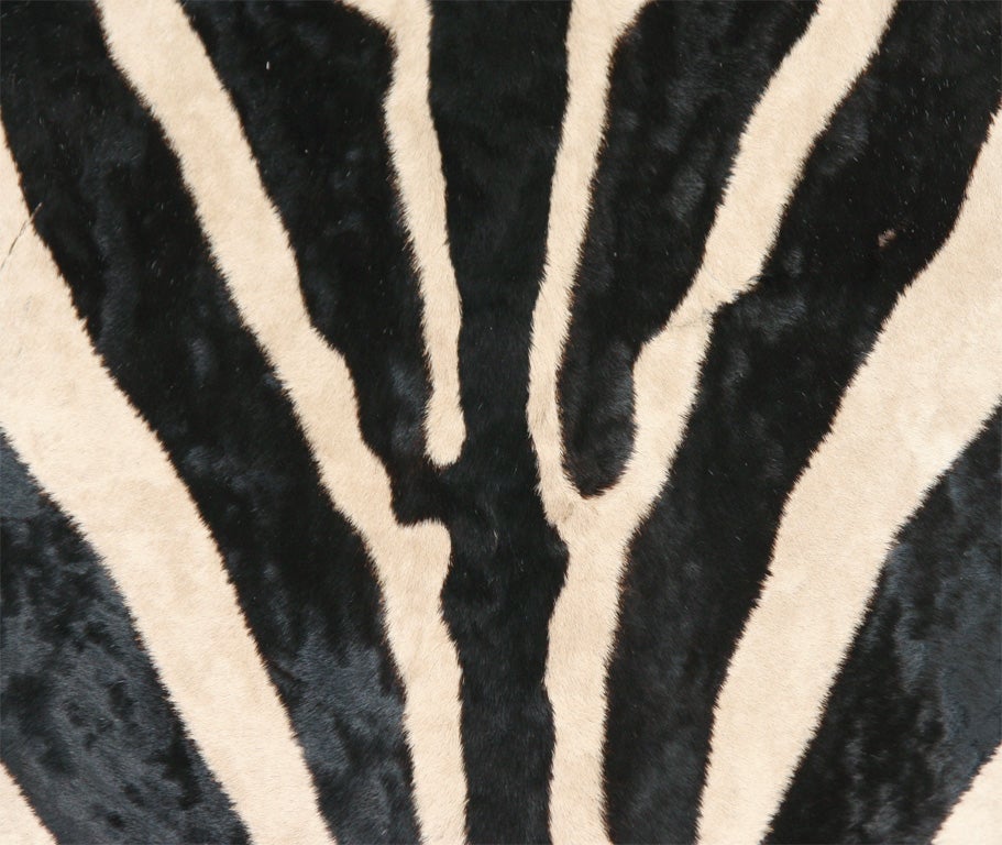 Custom Trophy Grade Zebra Skin Carpet For Sale at 1stdibs