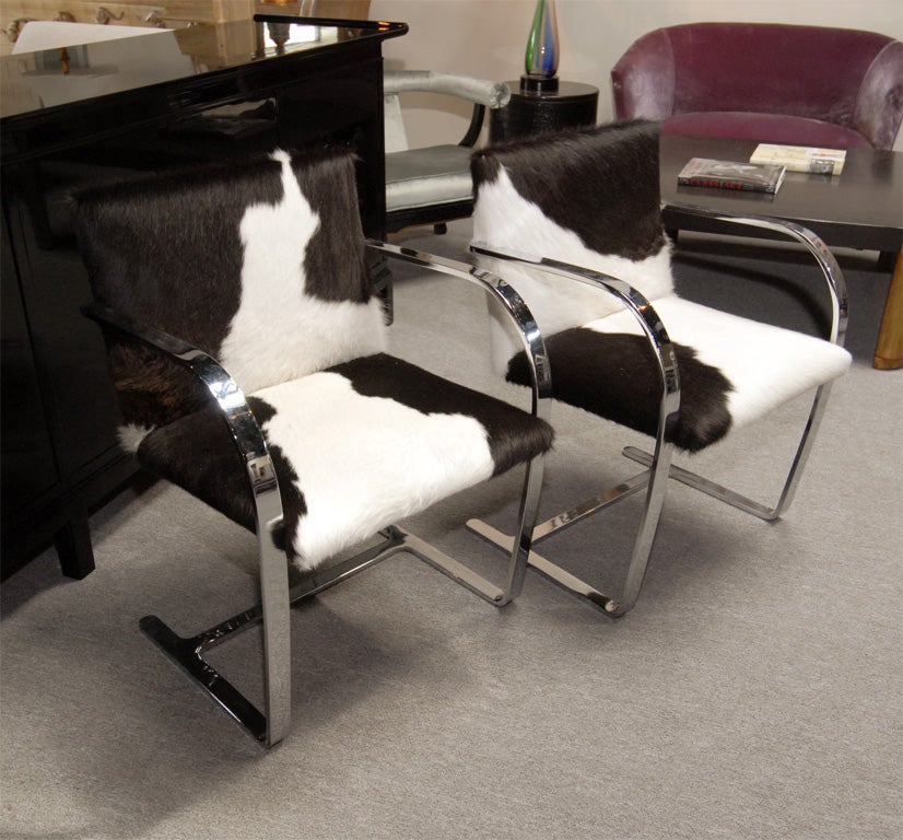 Stunning pair of vintage chrome frame knoll Brno chairs which have been fantastically reupholstered in black and white cowhide.