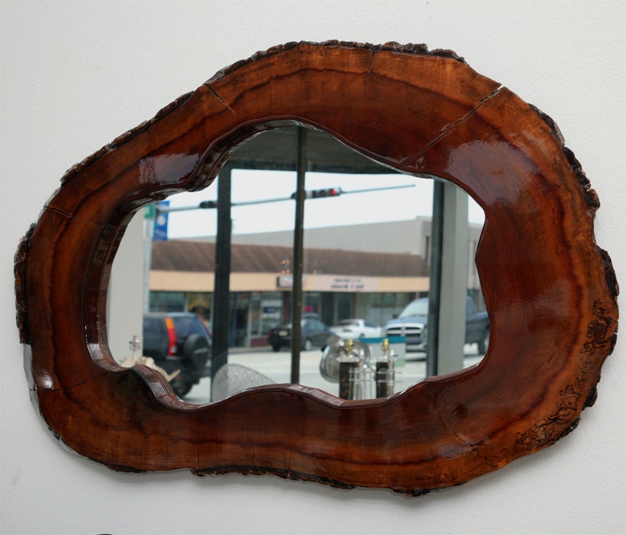 Trippy 60's Hippie Style or Organic Chic? Who cares...we love the scale and quirky, in-your-face attitude of this free-form mirror set within a sliced redwood trunk.