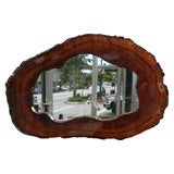 Vintage Giant Redwood Free-Form Mirror