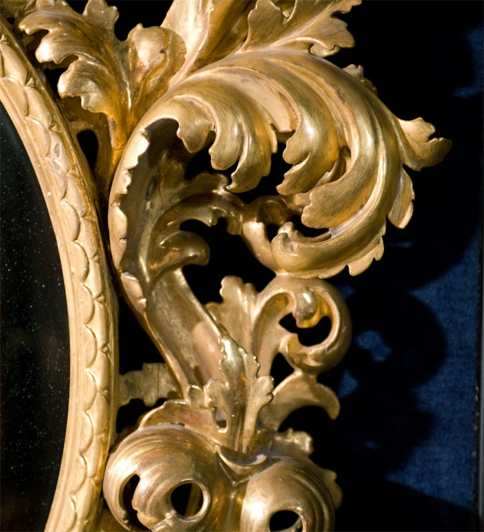 19th Century Rococo Carved Giltwood  Mirror 2