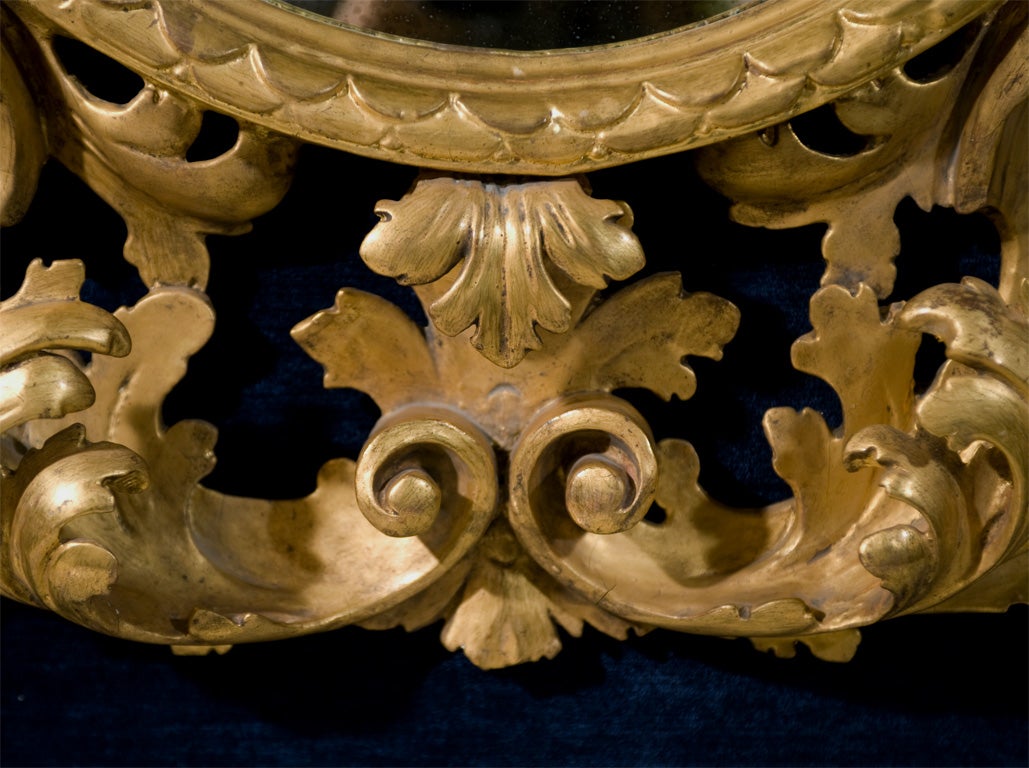 19th Century Rococo Carved Giltwood  Mirror 7